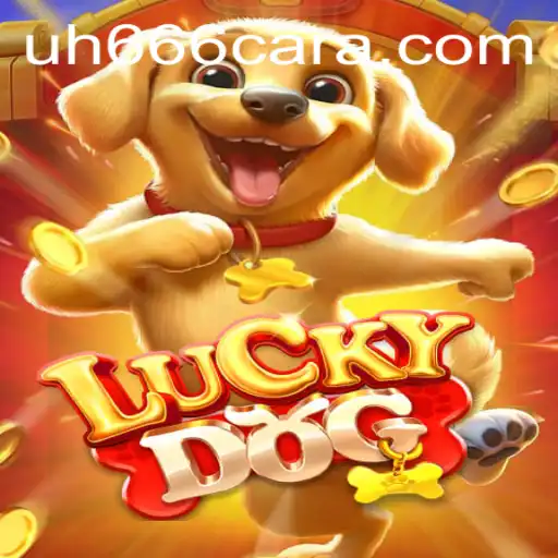 uh666 Casino App